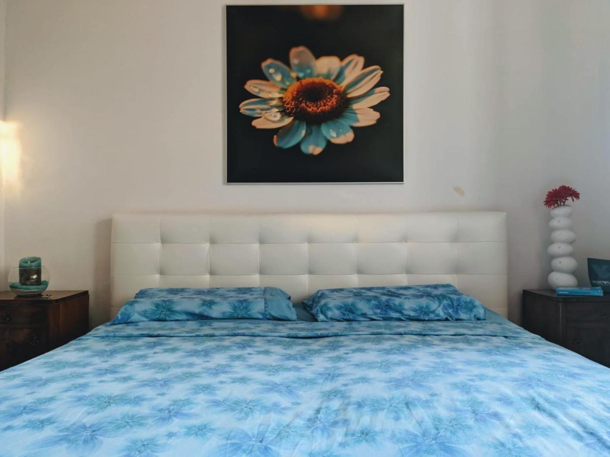 Glorianita Sweethome,Centro, Free Parking,Self Check- In Шибеник Экстерьер фото