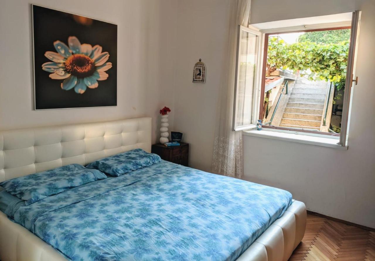 Glorianita Sweethome,Centro, Free Parking,Self Check- In Шибеник Экстерьер фото